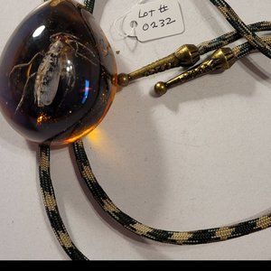 Large Bolo Tie with Large Insect Inside